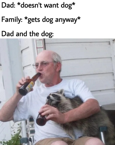 Beer Memes (20 pics) Beer Memes (20 pics)