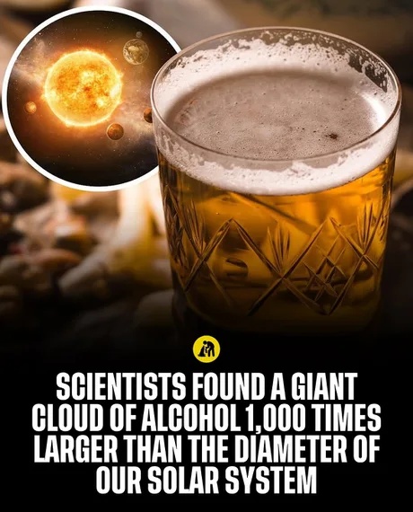 Beer Memes (20 pics) Beer Memes (20 pics)