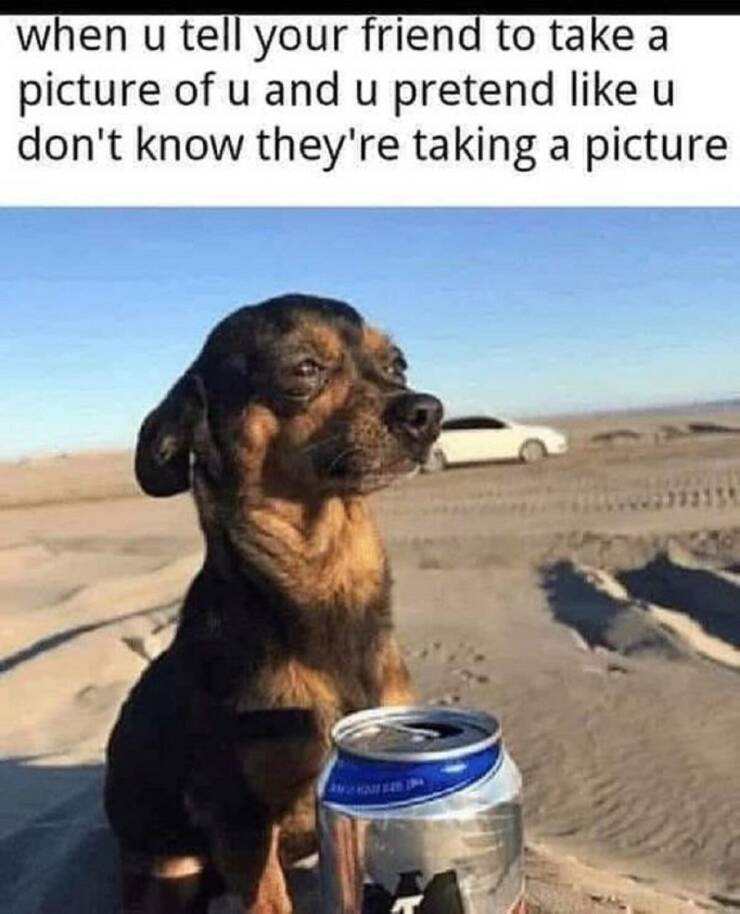 Daily Pictures. Part 2 (75 pics)