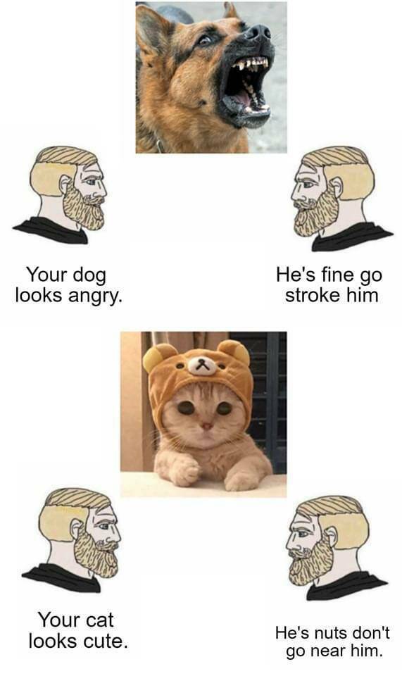 Daily Pictures. Part 2 (75 pics)