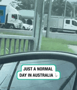 Acid GIFs, July 7 (29 gifs)