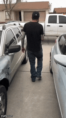 Acid GIFs, July 7 (29 gifs)