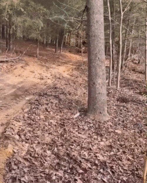 Acid GIFs, July 7 (29 gifs)