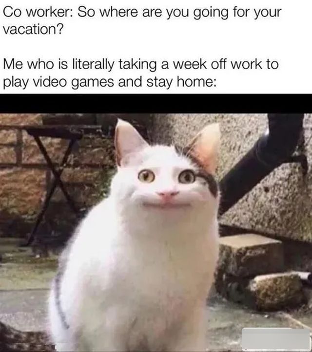 Memes About Work And Vacation (20 pics)