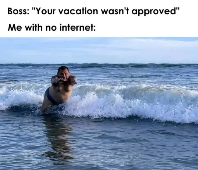 Memes About Work And Vacation (20 pics)