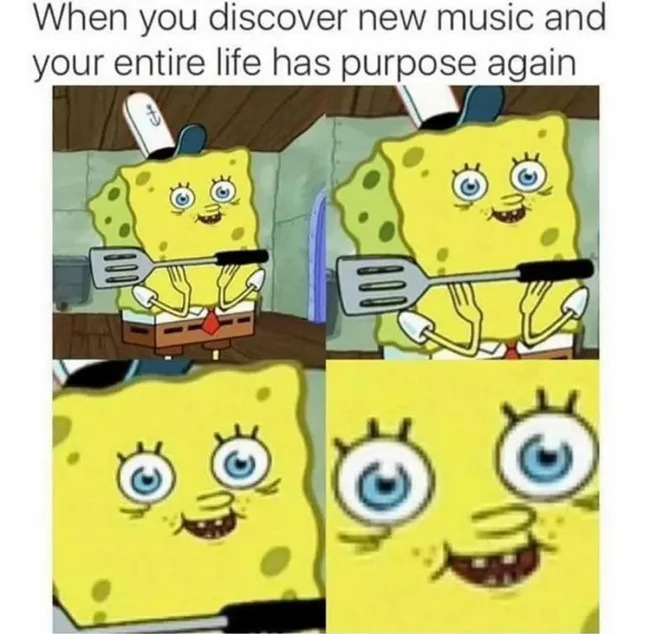 Memes For Music Lovers (21 pics) Memes For Music Lovers (21 pics)