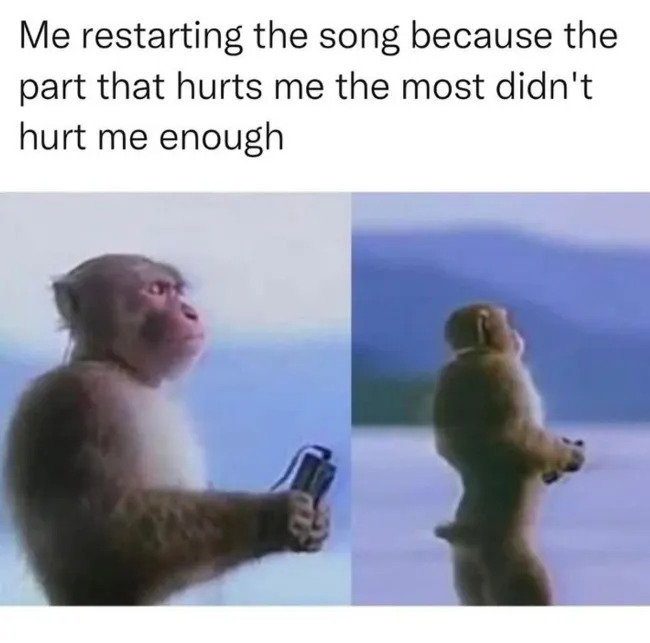 Memes For Music Lovers (21 pics) Memes For Music Lovers (21 pics)