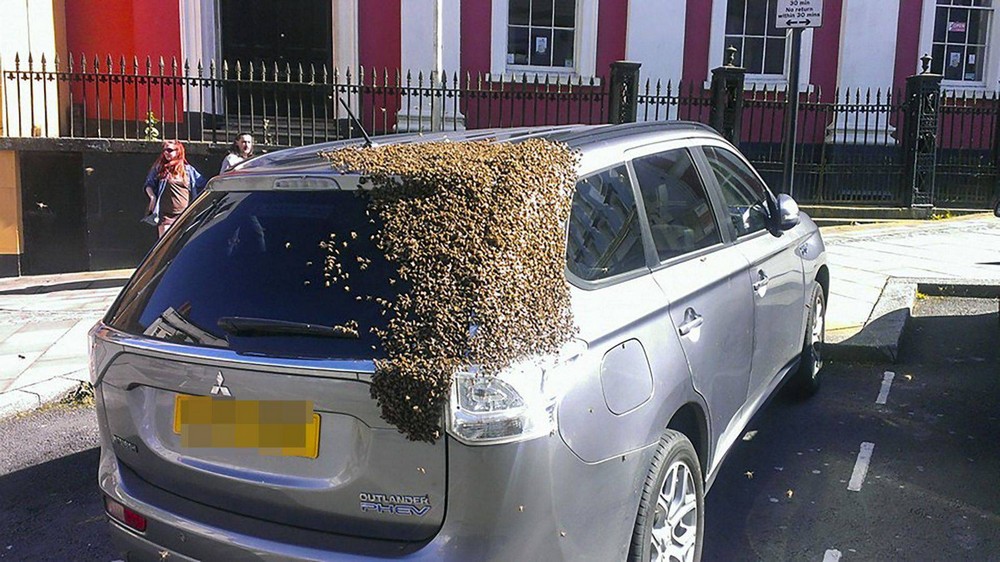 Unfortunate Situations (21 pics) Unfortunate Situations (21 pics)