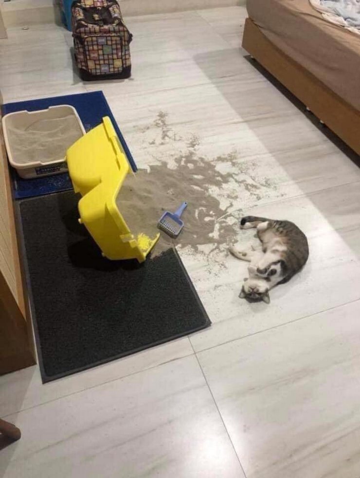 Bad Days Happen (21 pics)