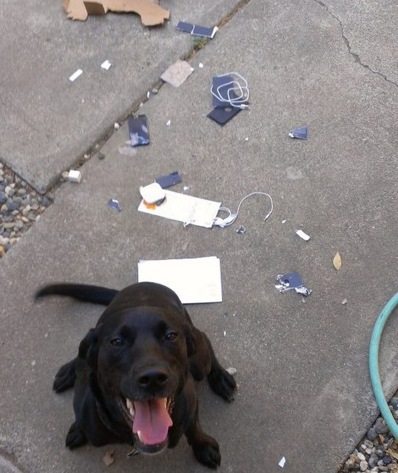 Bad Days Happen (21 pics)
