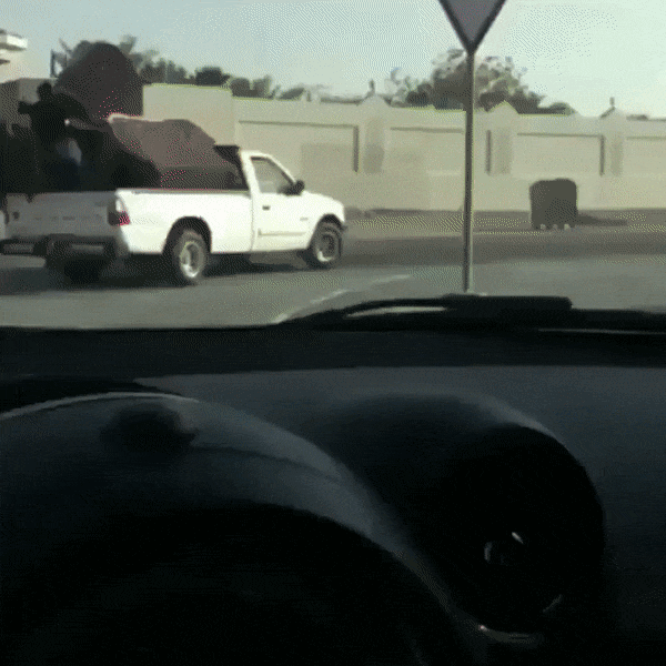 Acid GIFs, July 8 (25 gifs)