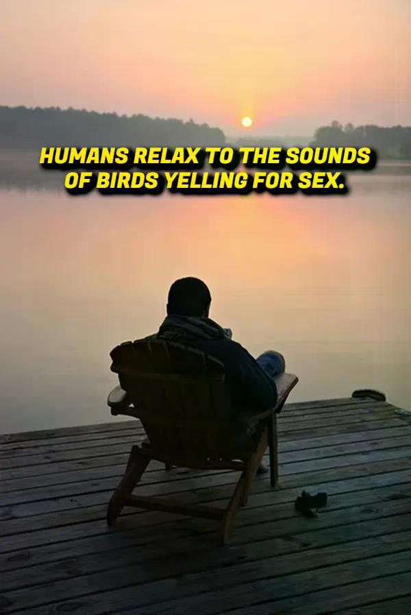 Weird Thoughts (17 pics)