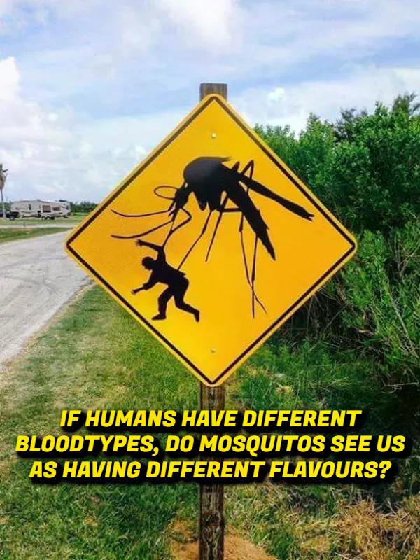 Weird Thoughts (17 pics)
