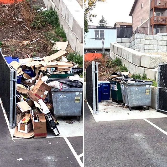 Before And After Cleaning (25 pics)