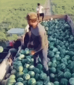 Acid GIFs, July 9 (25 gifs)