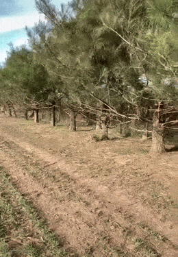 Acid GIFs, July 9 (25 gifs)