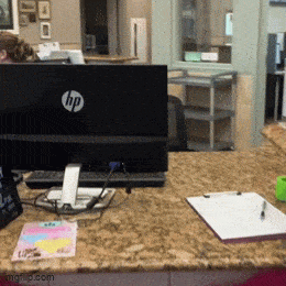 Acid GIFs, July 9 (25 gifs)