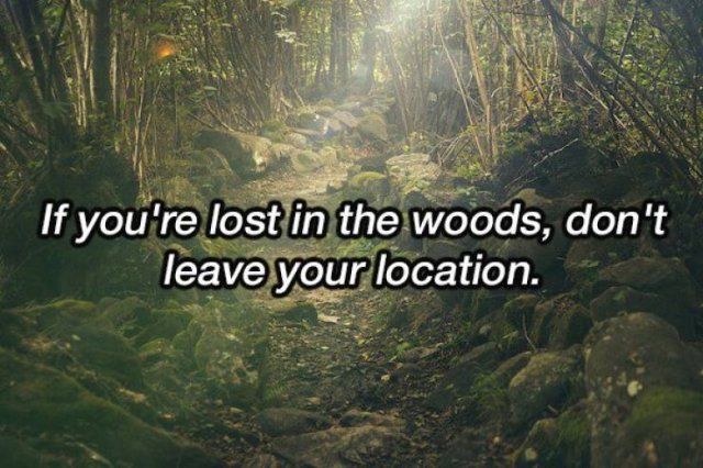 Life-Saving Tips (17 pics)