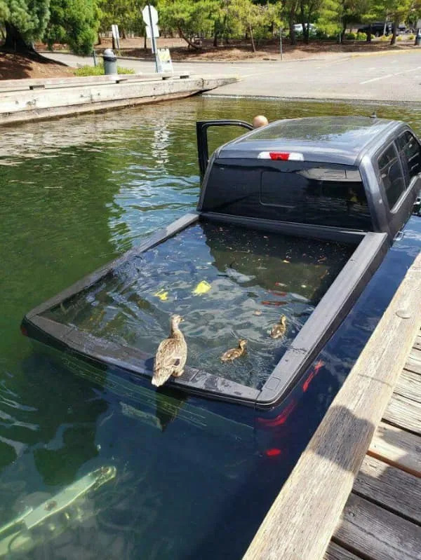 Expensive Fails (19 pics)