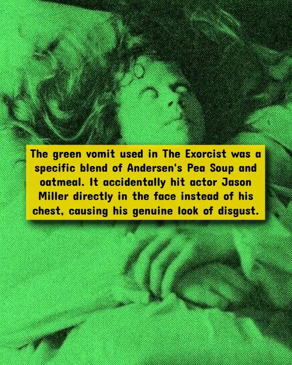Interesting Facts About Horror Movies (17 pics)