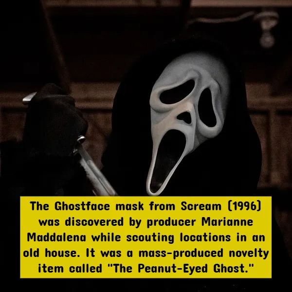 Interesting Facts About Horror Movies (17 pics)
