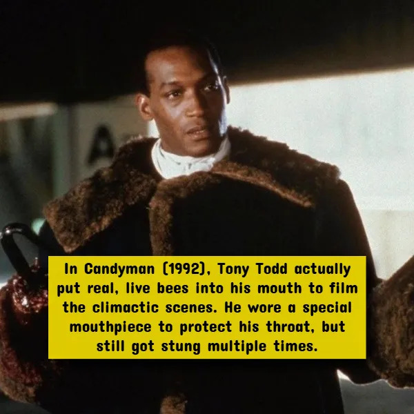 Interesting Facts About Horror Movies (17 pics)