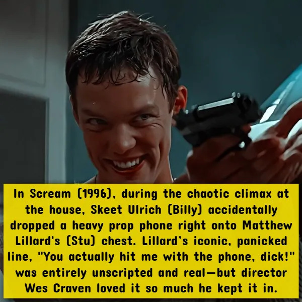 Interesting Facts About Horror Movies (17 pics)