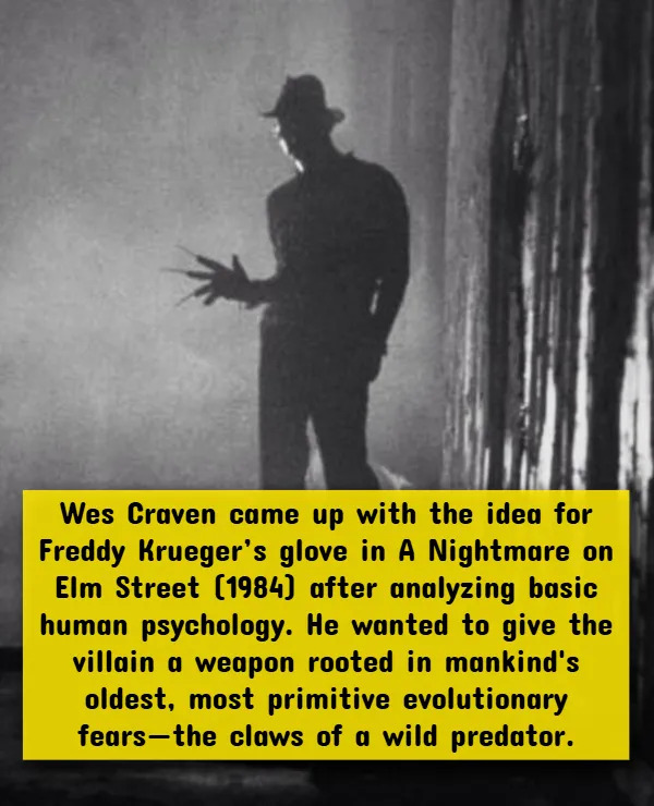 Interesting Facts About Horror Movies (17 pics)