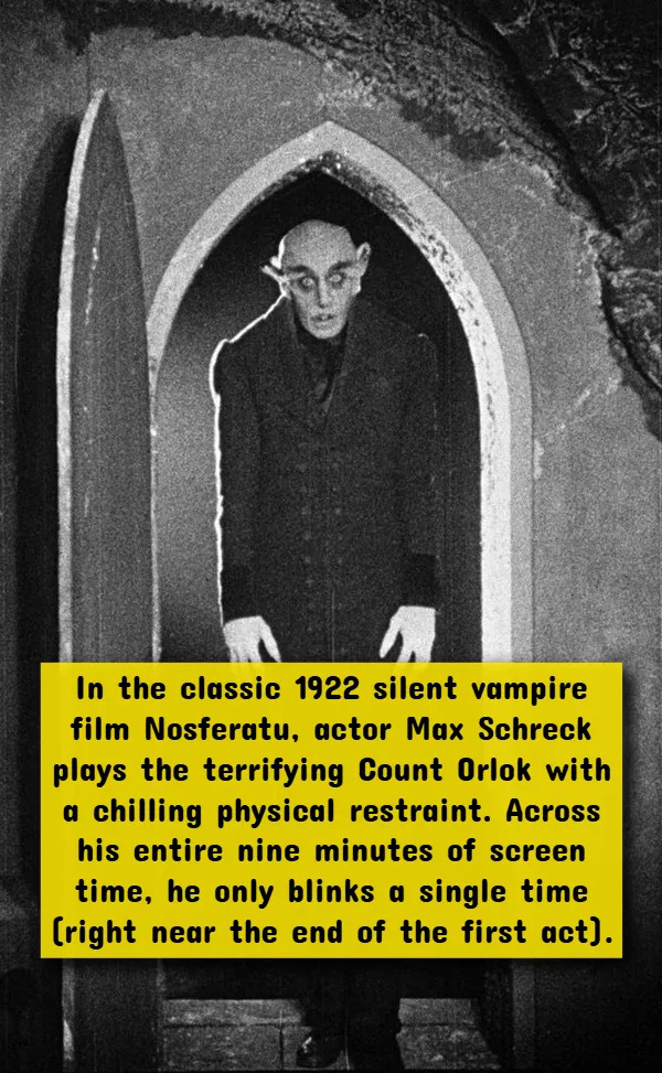 Interesting Facts About Horror Movies (17 pics)