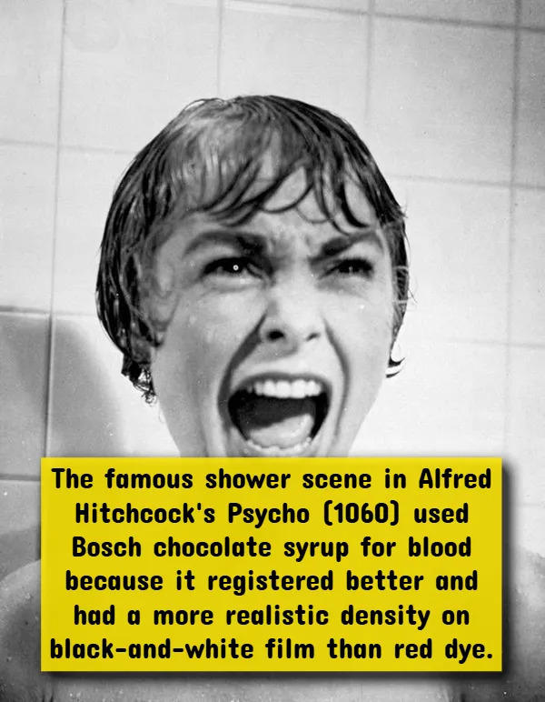 Interesting Facts About Horror Movies (17 pics)