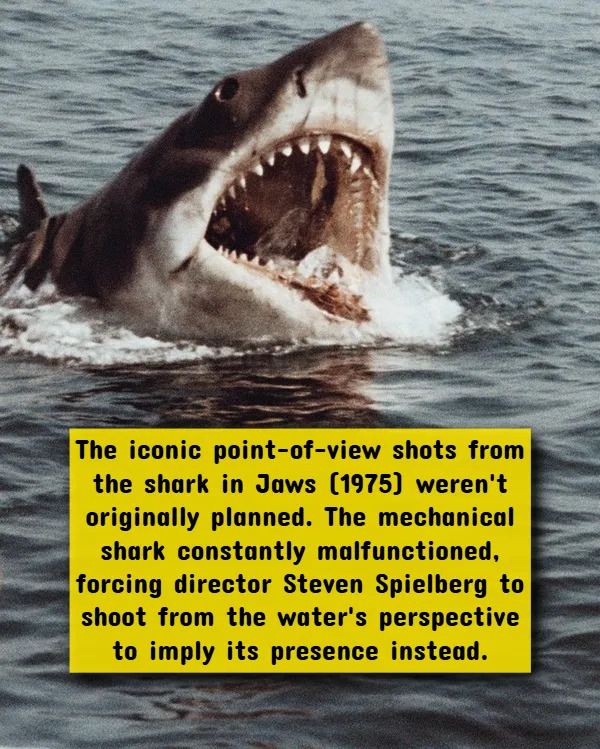 Interesting Facts About Horror Movies (17 pics)