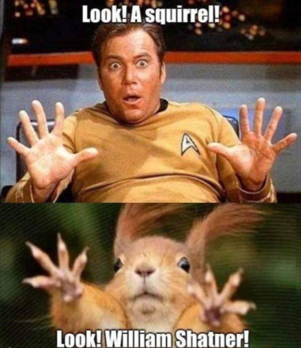 Funny Memes (23 pics)