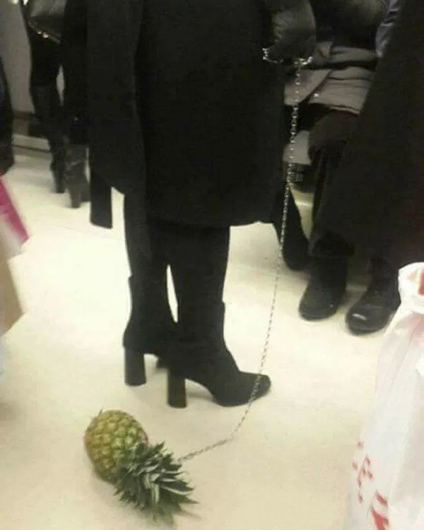 What Is Going On Here? (25 pics)