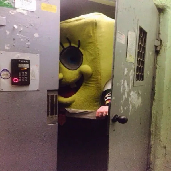 What Is Going On Here? (25 pics)