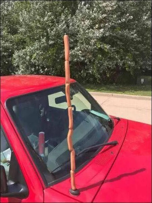 What Is Going On Here? (25 pics)
