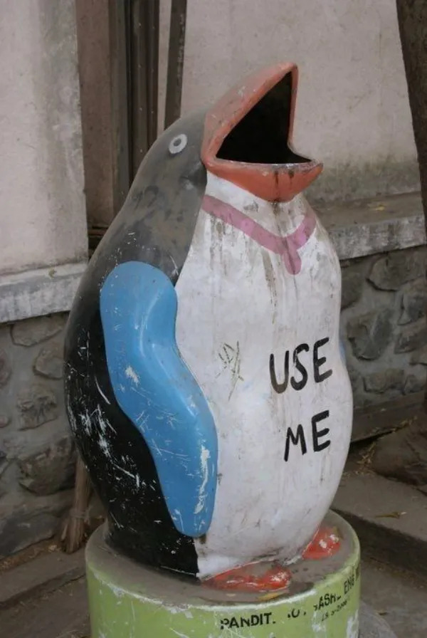 What Is Going On Here? (25 pics)
