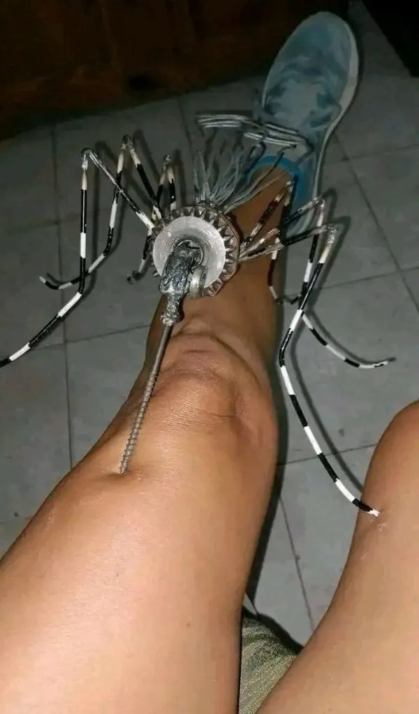 What Is Going On Here? (25 pics)