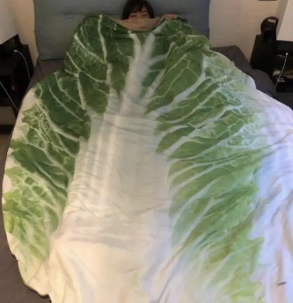What Is Going On Here? (25 pics)