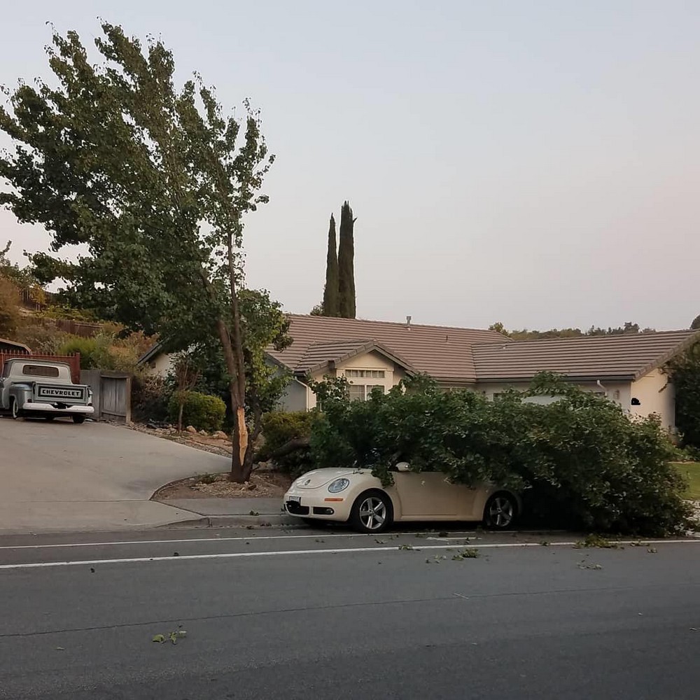 Bad Days Happen (25 pics)