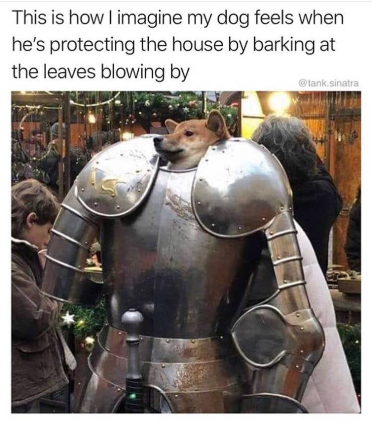 Daily Pictures. Part 2 (76 pics)