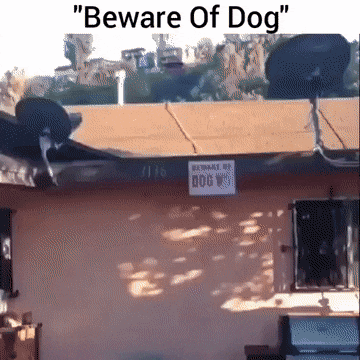 Acid GIFs, July 10 (25 gifs)