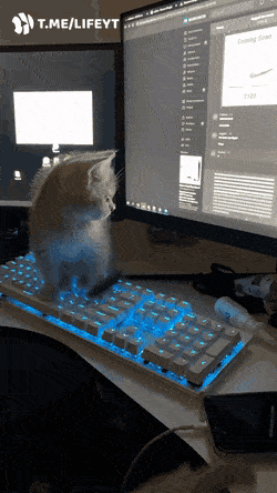 Acid GIFs, July 10 (25 gifs)