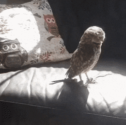 Acid GIFs, July 10 (25 gifs)