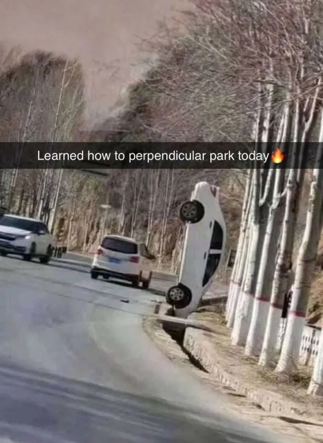 Memes For Drivers (21 pics)