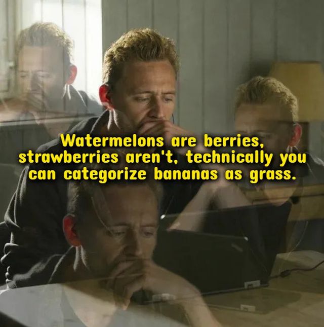 Weird Thoughts (18 pics)