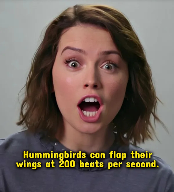 Weird Thoughts (18 pics)