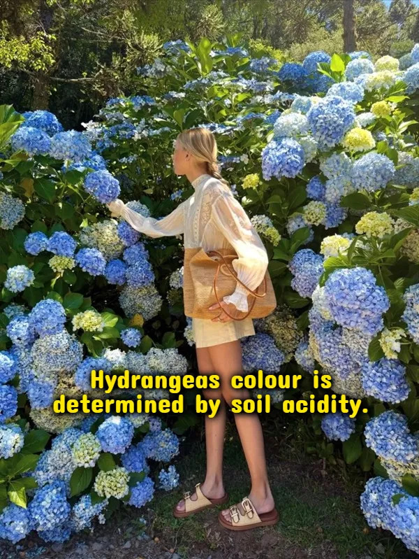 Weird Thoughts (18 pics)