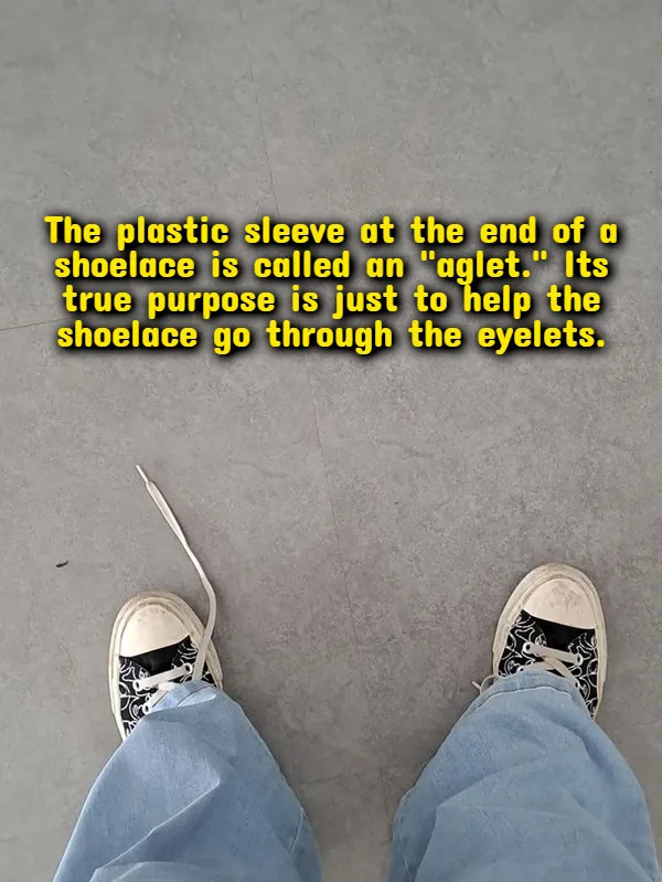 Weird Thoughts (18 pics)