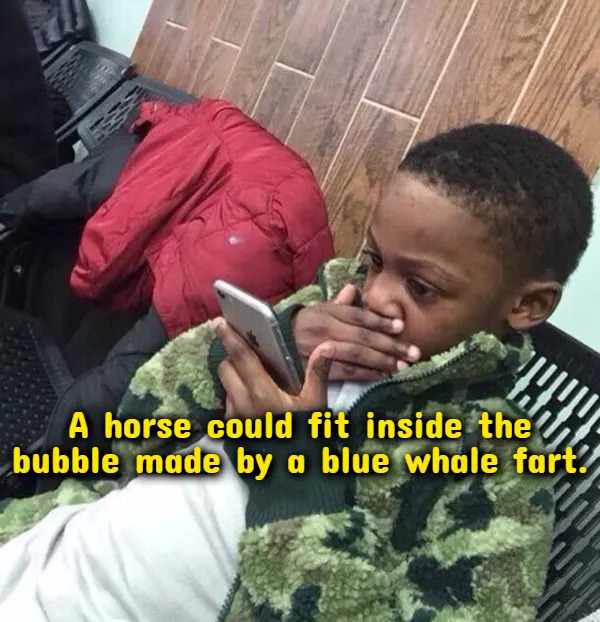 Weird Thoughts (18 pics)