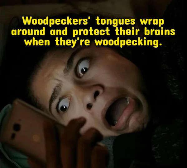 Weird Thoughts (18 pics)